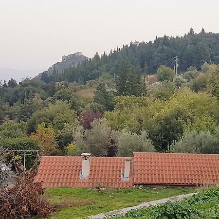 Гостьовий будинок Luxury House In The Hills Спарті Екстер'єр фото
