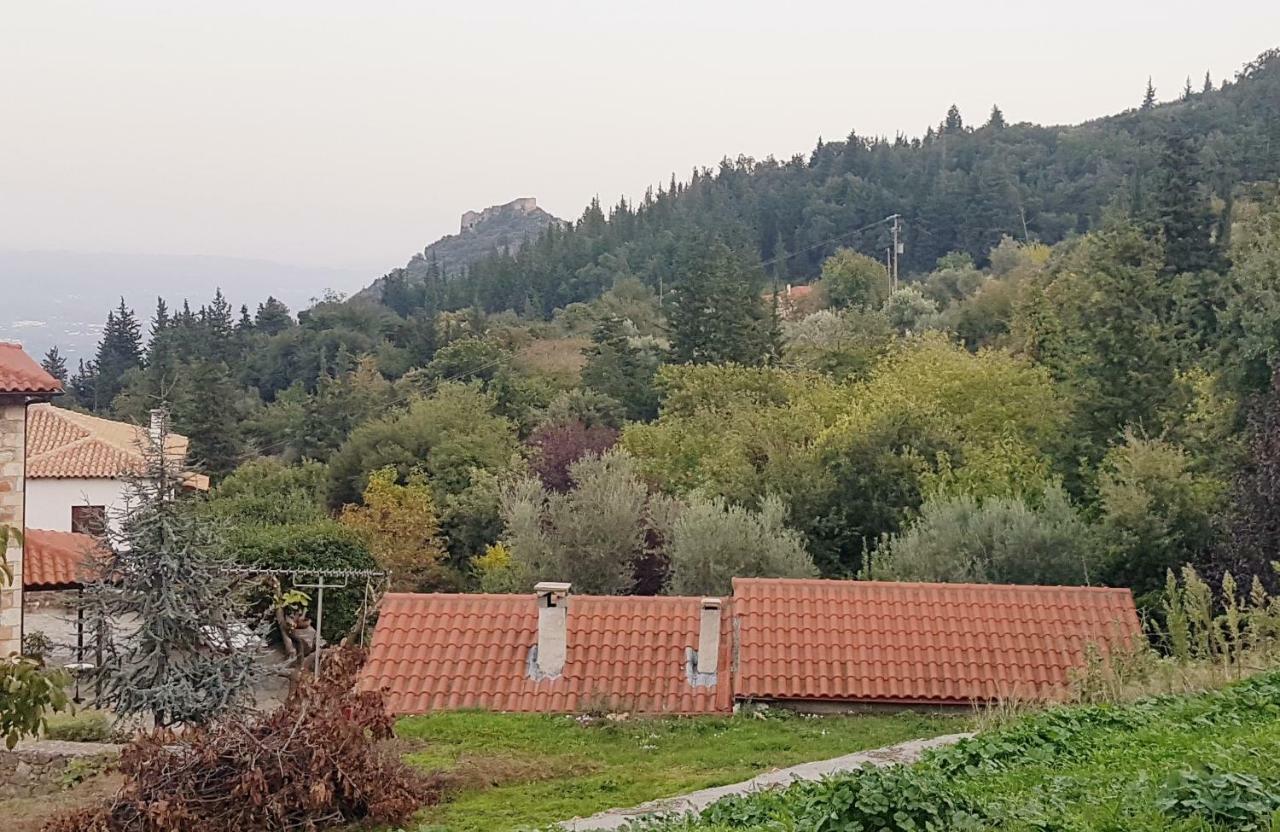 Гостьовий будинок Luxury House In The Hills Спарті Екстер'єр фото